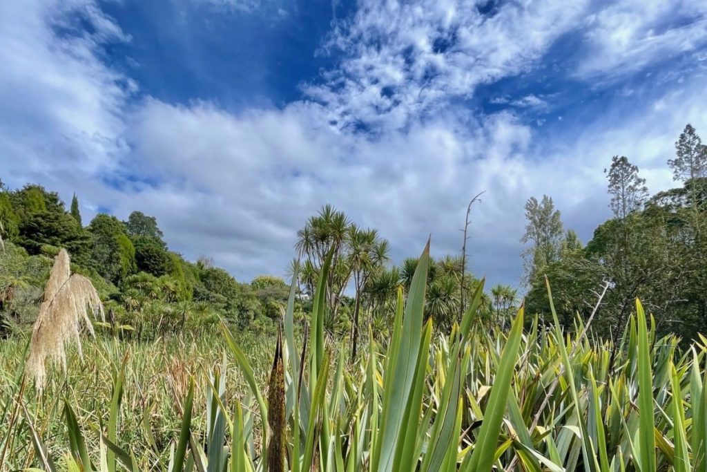 Why Farming Needs Biodiversity Good Farm Planning Hub Taranaki