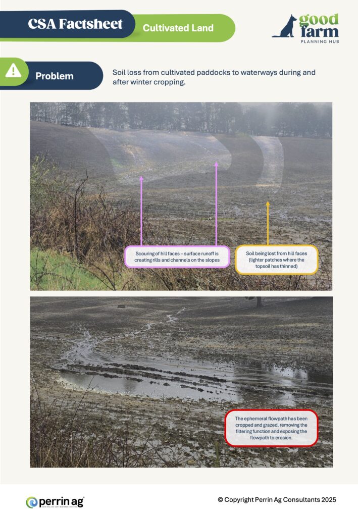 11. Csa Factsheet Cultivated Land Good Farm
