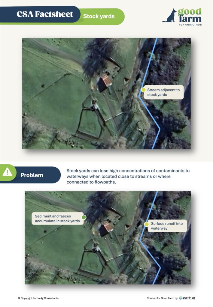 8. Csa Factsheet Stock Yards Good Farm