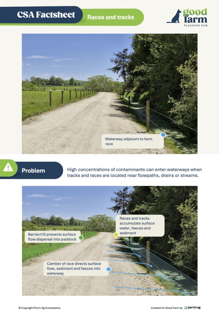 9. Csa Factsheet Races Good Farm