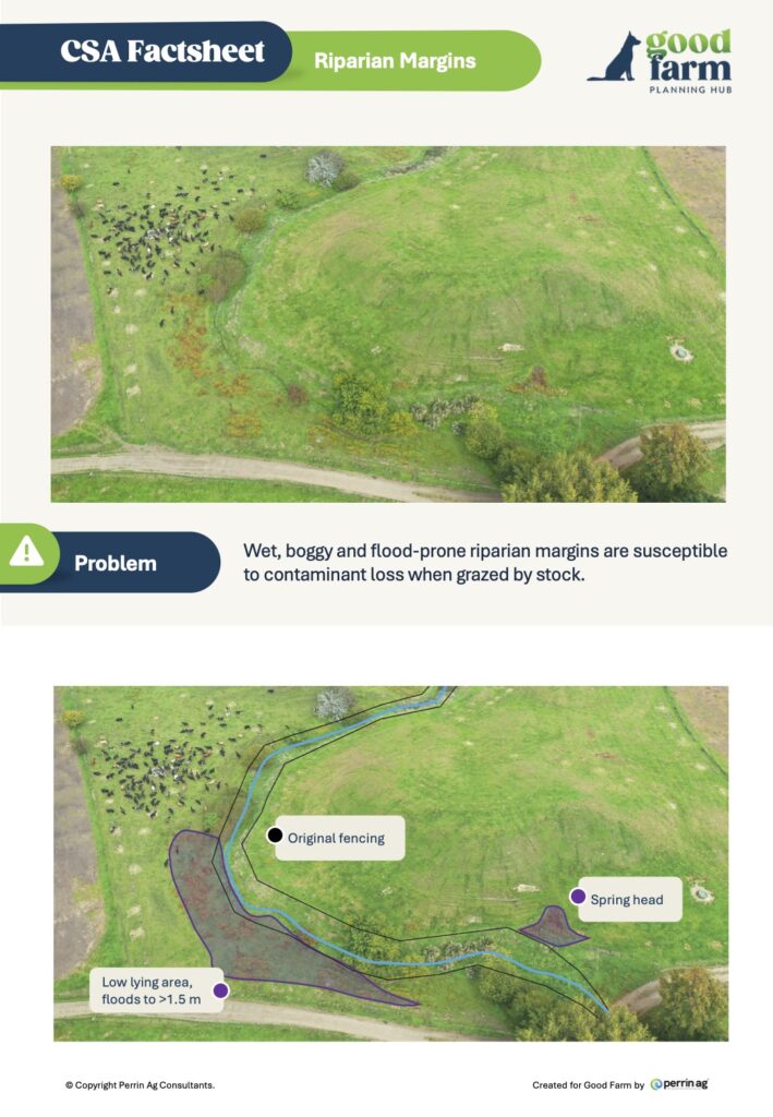 12. Csa Factsheet Riparian Margins