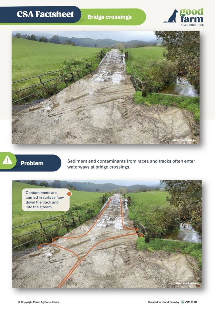 13. Csa Factsheet Bridge Crossings