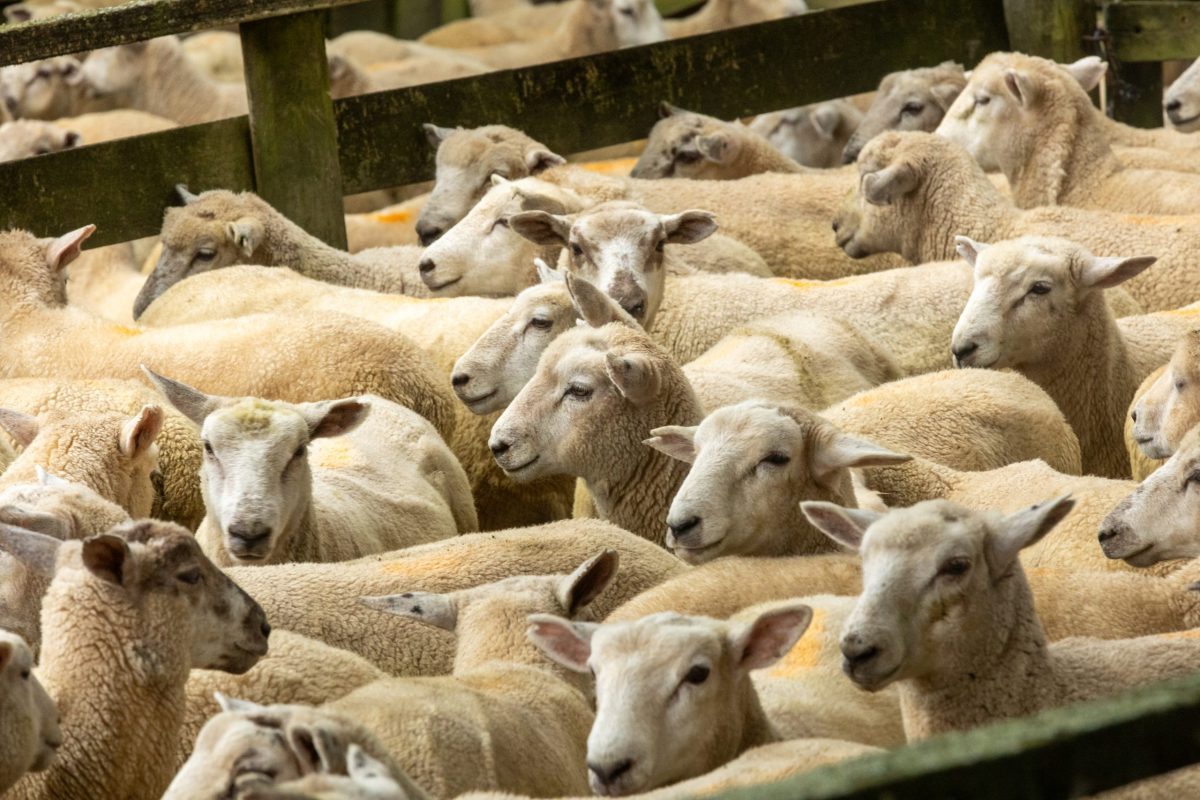 The Good Farm Guide To Navigating Regulations What You Need To Know
