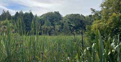Biodiversity - The Good Farm Planning Hub - Integrated Farm Planning Resources for Taranaki Farmers