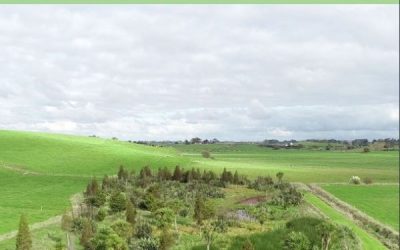Good Farm Planning Hub Constructed Wetland Guidelines Resource