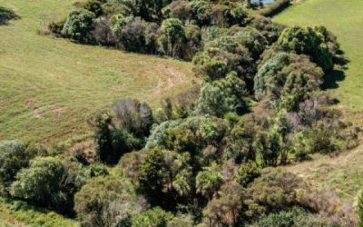 Good Farm Planning Hub Riparian Buffer Guide Resource