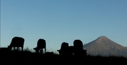 Greenhouse Emissions Planning Taranaki Farmer Resources