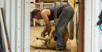 People Taranaki Farmer Resources